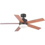 Blaupunkt Ventilador de Techo BP2011 de 122 cm con Lámpara LED y Mando